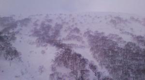 2月23日　風向；風弱く　風速；-m/s  新雪；0cm