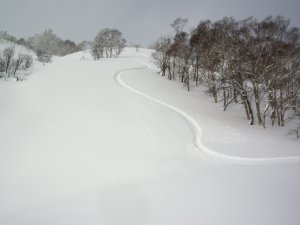 1月17日　風向：西南西　風速：12m/s　新雪：5cm