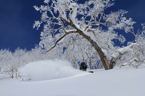 12.01.03_MakotoYamada_IMG_6150.jpg