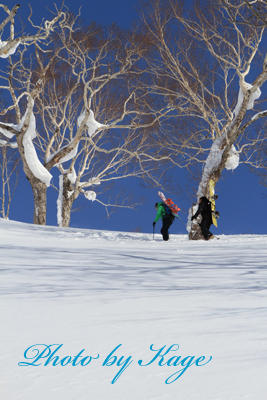 14.02.14_Hike_K7D_2396.jpg