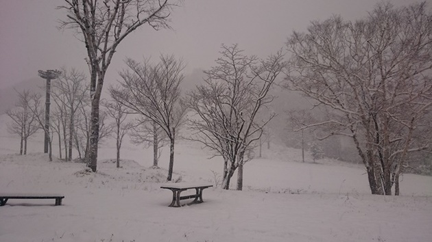 ニセコアンヌプリに待望の『POWDER SNOW』が降り積っています！