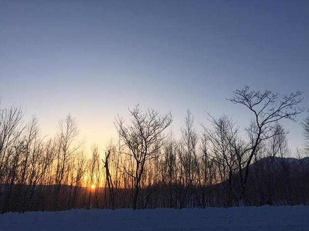 Good morning niseko! powder company guides BCHIKE!!