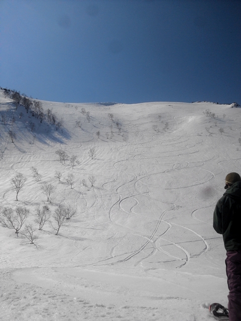 14.03.29 イワオヌプリＢＣハイクツアー Iwaonupuri BC Hike Tour Powder Company