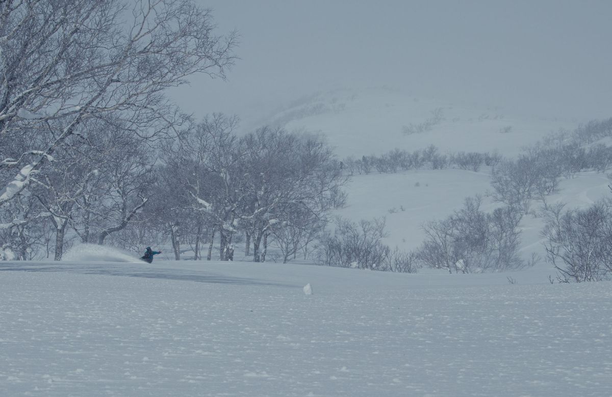 Mountain Surf Equipment. 2022-23 試着会のお知らせ！ | POWDER