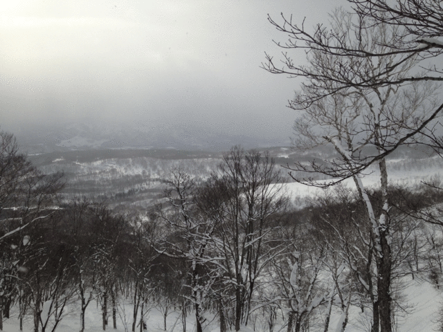 20150202170302.gif