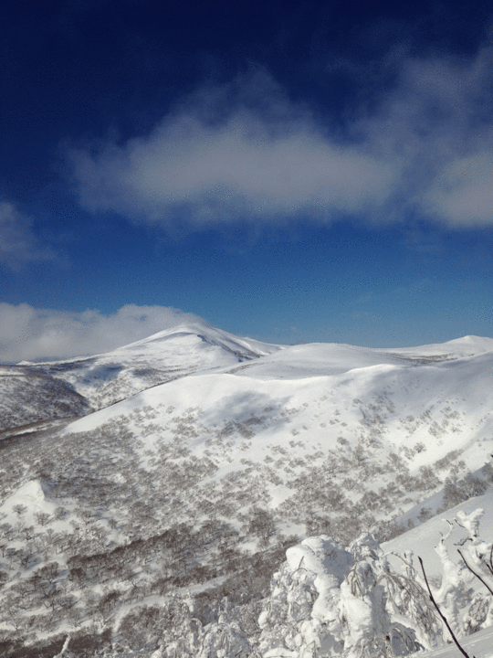 20150217170431.gif